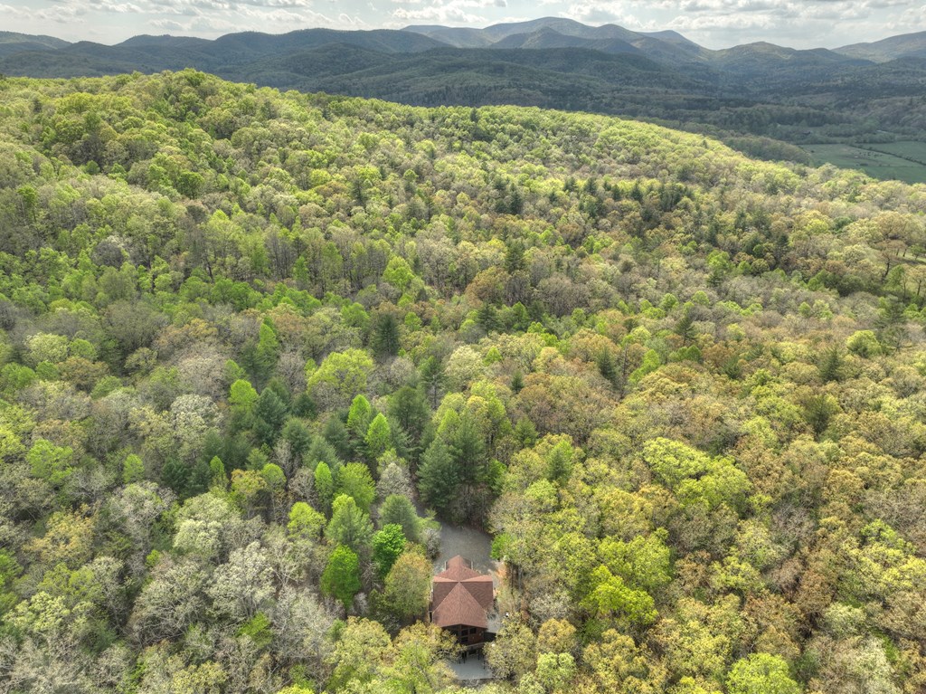 240 Shallow Creek Vista Blue Ridge, GA 30513 - Photo 25 of 71 Gallery Image 25