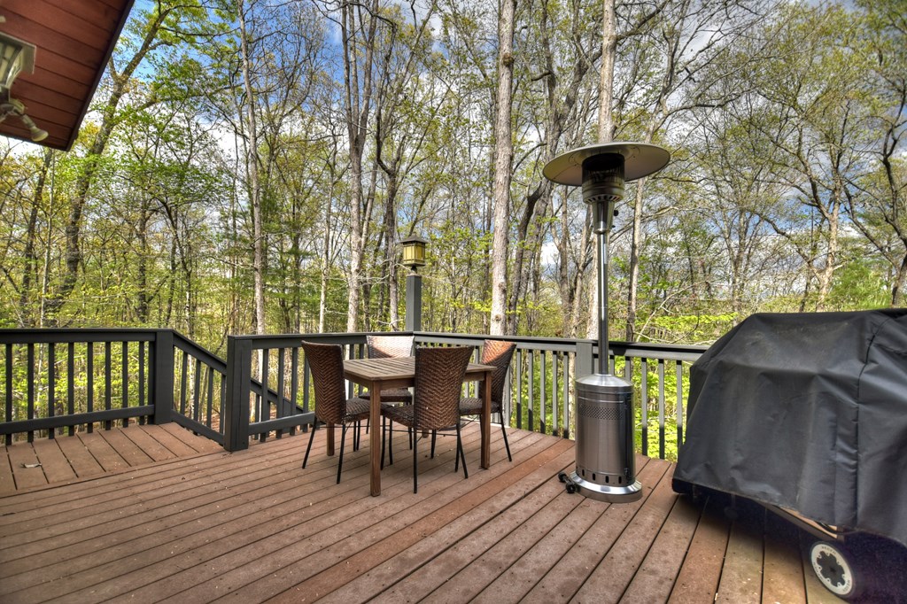 240 Shallow Creek Vista Blue Ridge, GA 30513 - Photo 27 of 71 Gallery Image 27