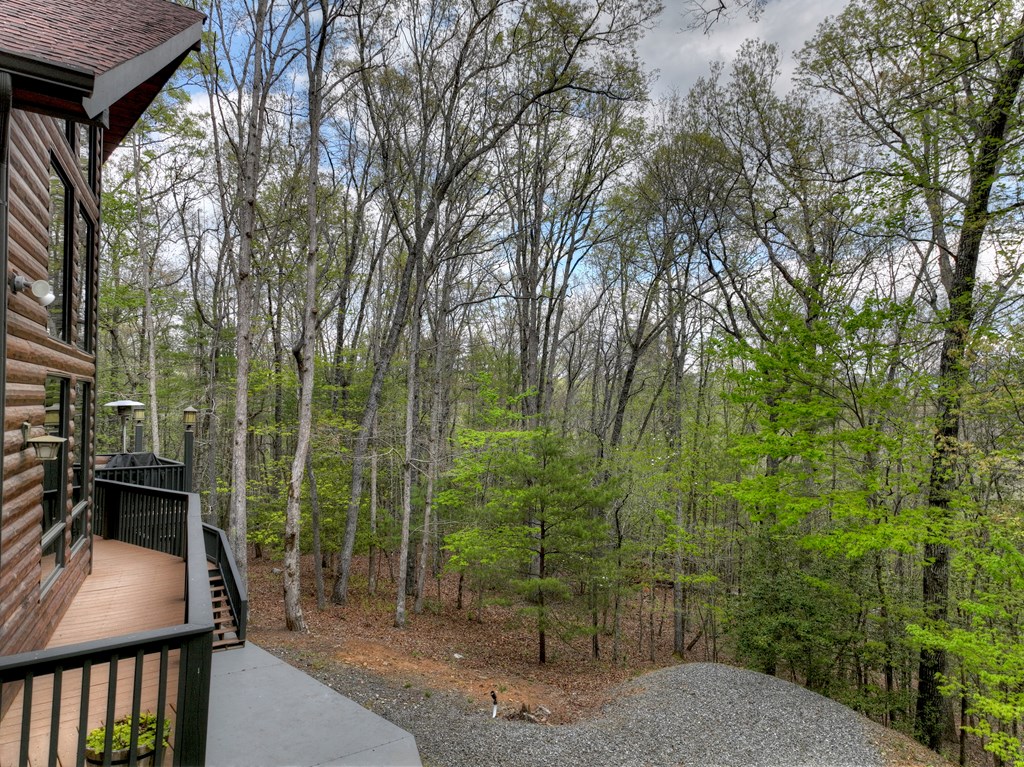 240 Shallow Creek Vista Blue Ridge, GA 30513 - Photo 33 of 71 Gallery Image 33