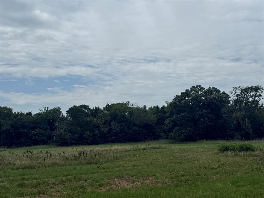 313 Co Road Terrell, TX 75161 - Photo 5 of 7