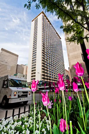 $1,850 | 535 North Michigan Avenue, Unit 2507, Chicago, IL 60611