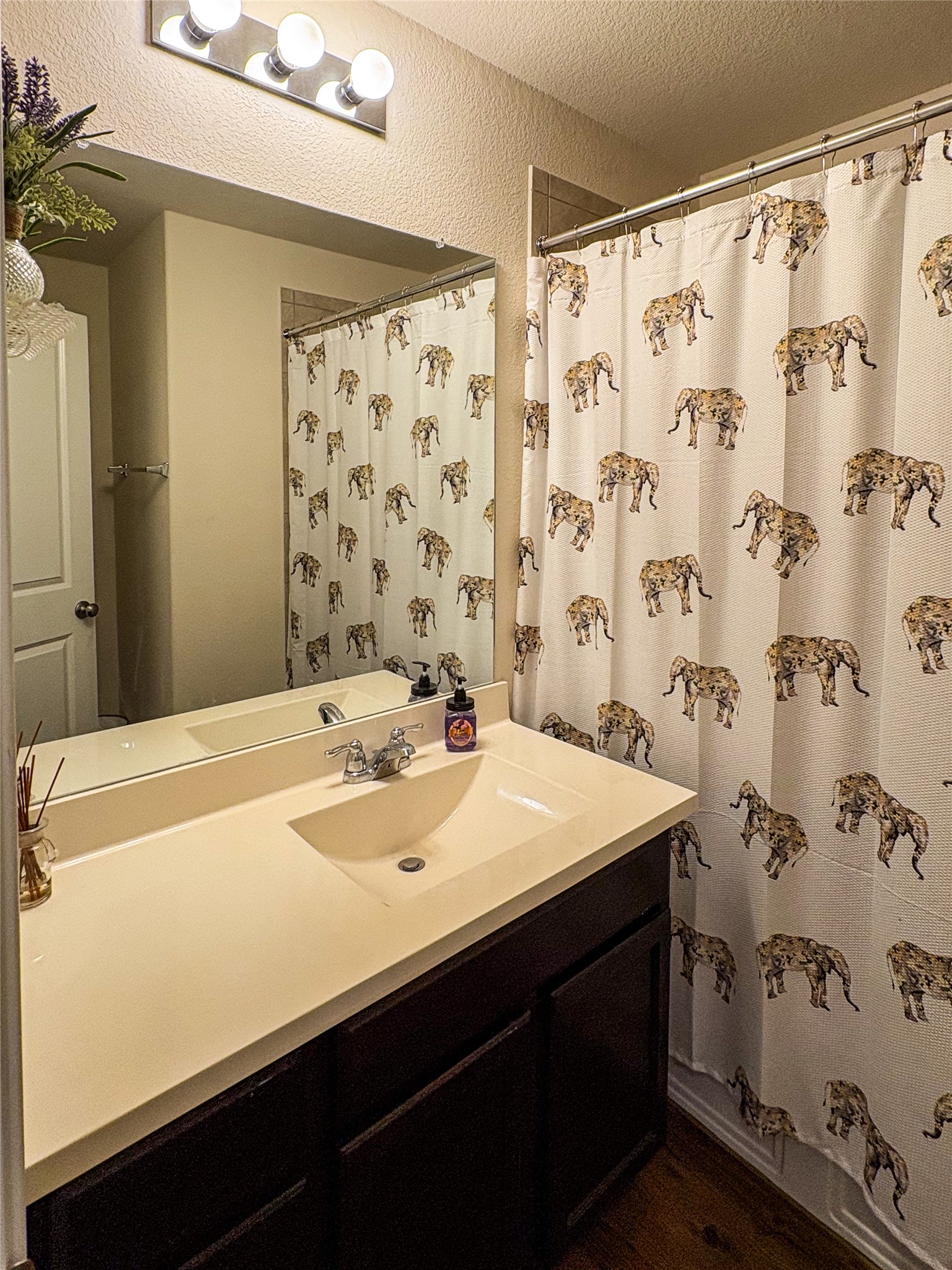 307 Andesite Trail Buda, TX 78610 - Photo 10 of 19 a bathroom with a sink and a mirror