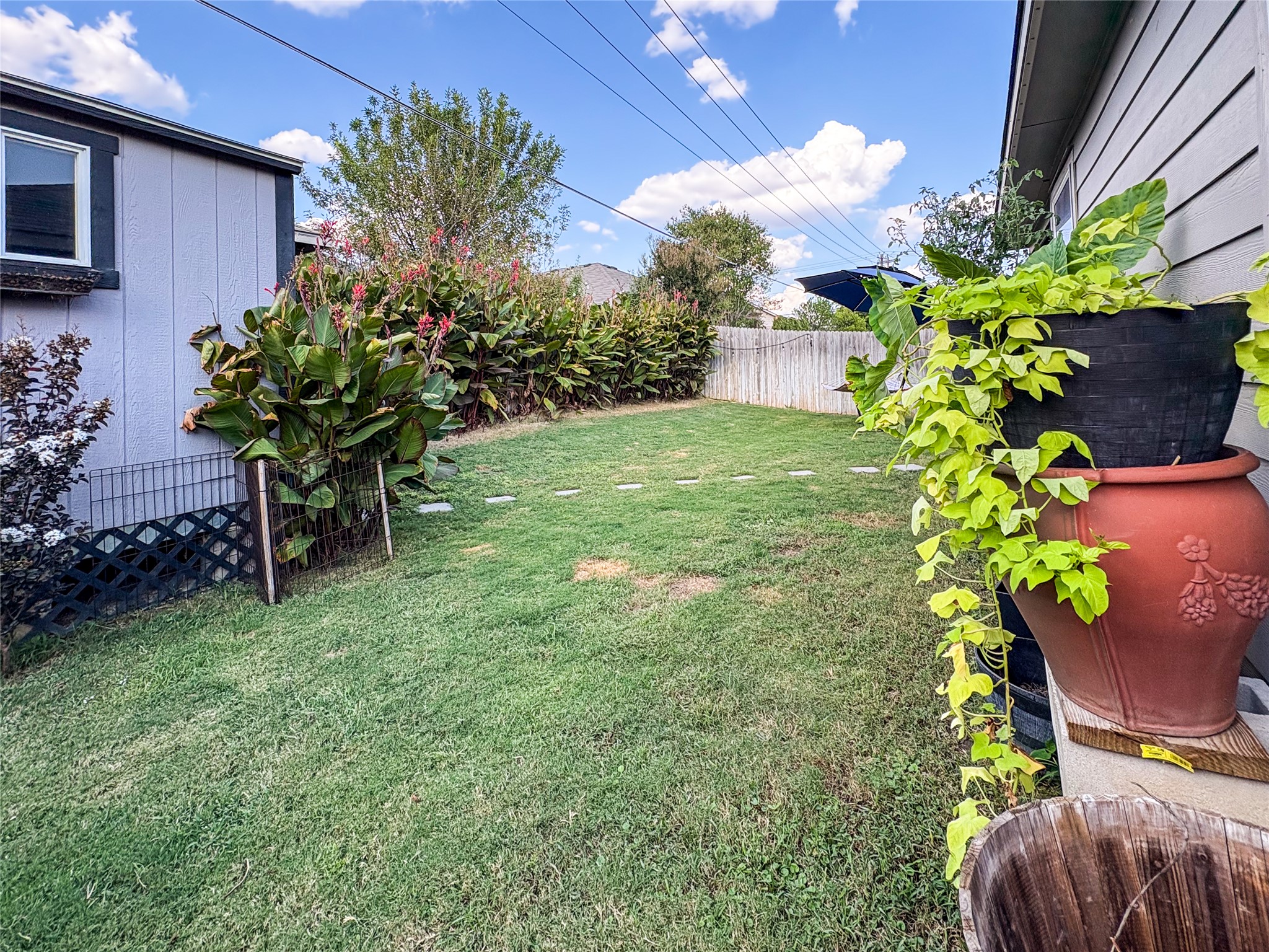 307 Andesite Trail Buda, TX 78610 - Photo 17 of 19 a plant is in a yard of a house