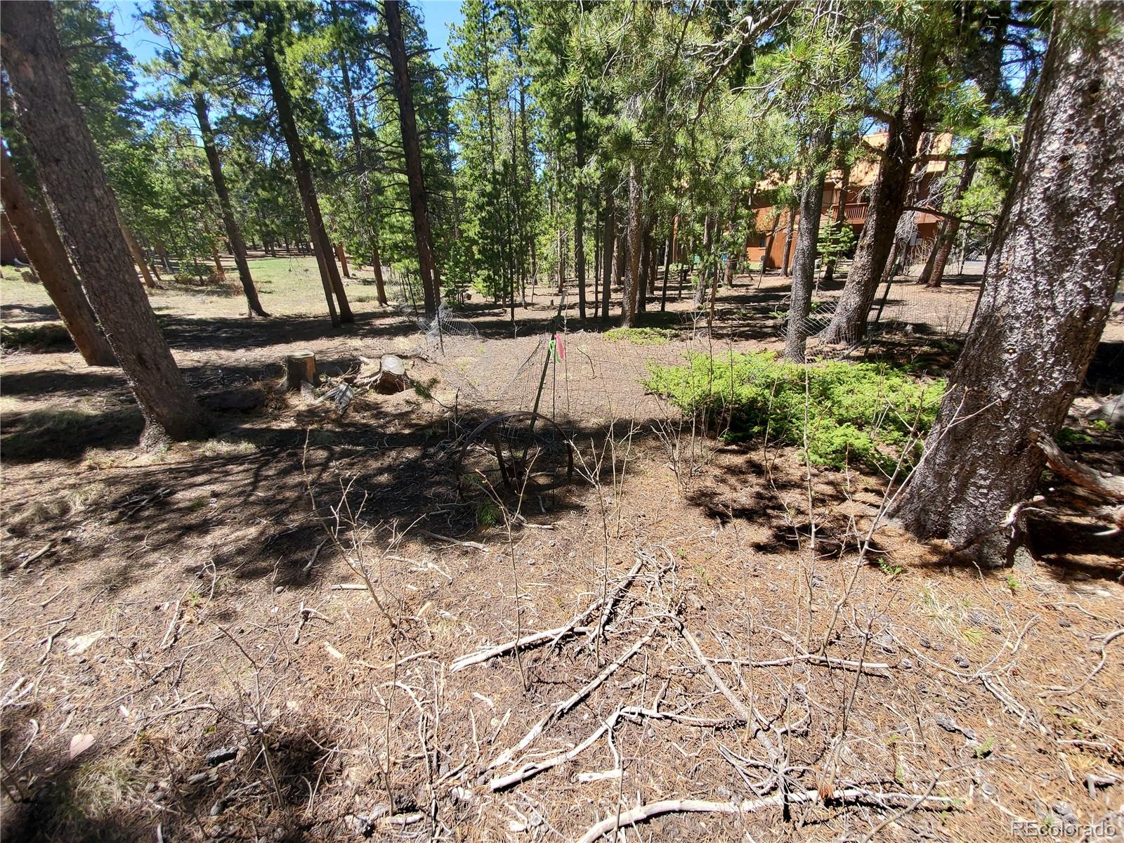 1255 Rudi Lane Golden, CO 80403 - Photo 14 of 26 Gallery Image 14