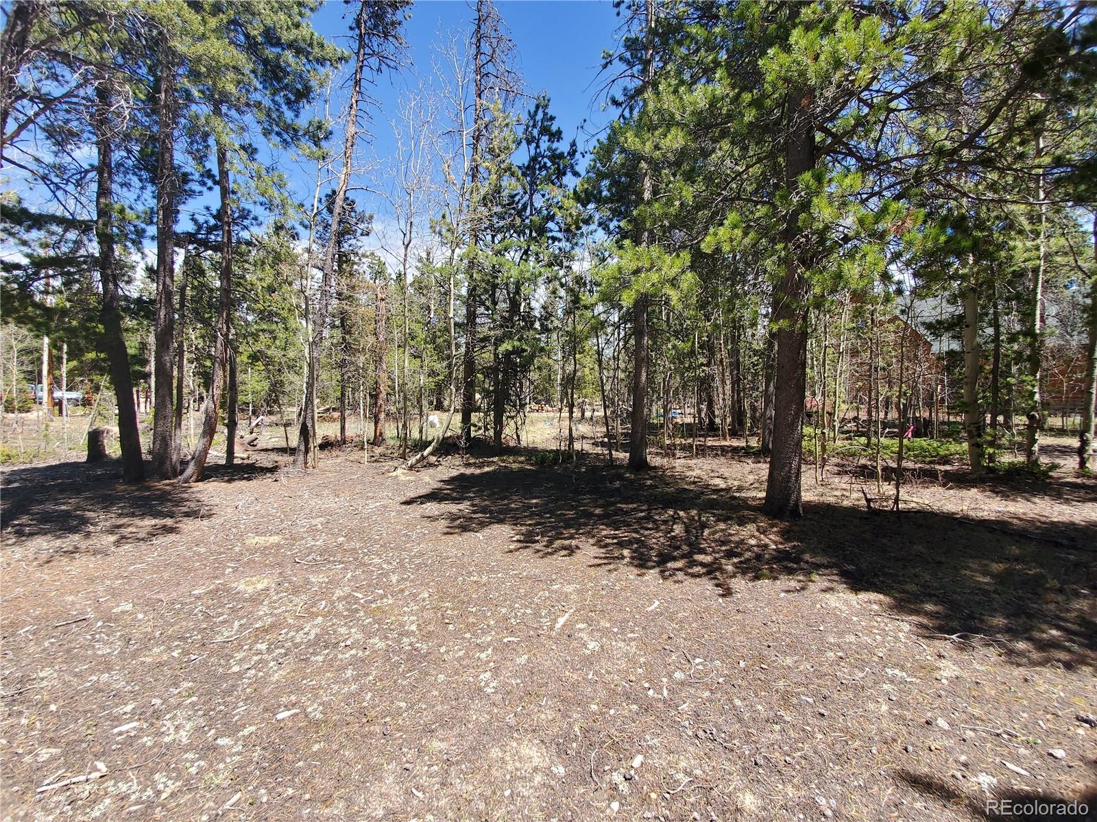 1255 Rudi Lane Golden, CO 80403 - Photo 17 of 26 Gallery Image 17