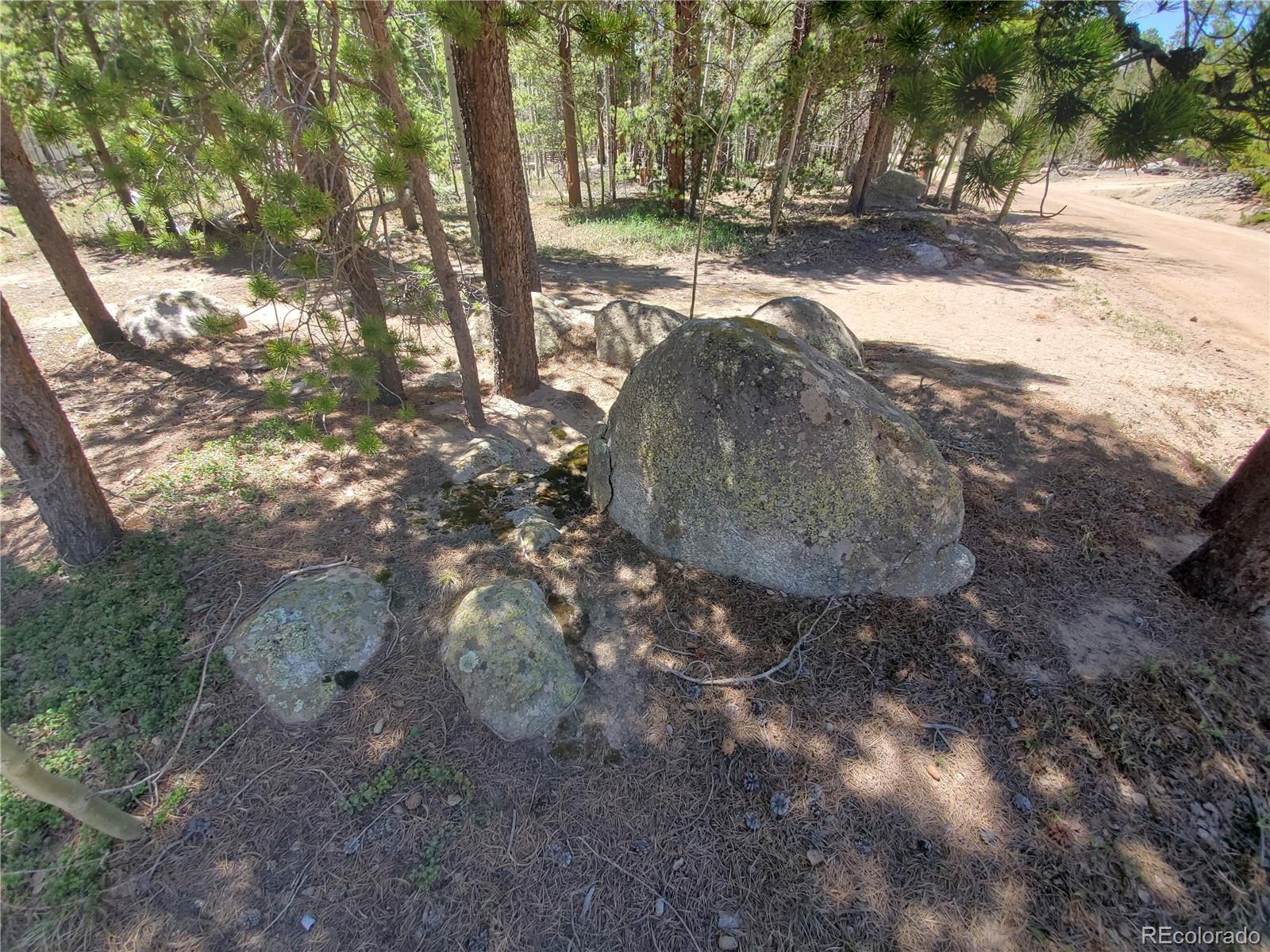 1255 Rudi Lane Golden, CO 80403 - Photo 25 of 26 Gallery Image 25