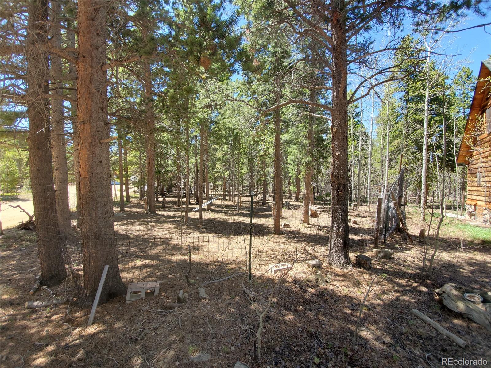 1255 Rudi Lane Golden, CO 80403 - Photo 10 of 26 Gallery Image 10