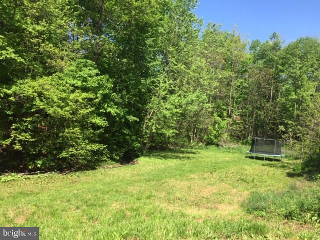 332 Sinking Spring Lane Gore, VA 22637 - Photo 22 of 37 Gallery Image 22