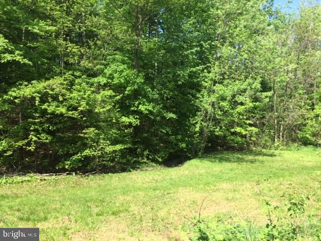 332 Sinking Spring Lane Gore, VA 22637 - Photo 28 of 37 Gallery Image 28