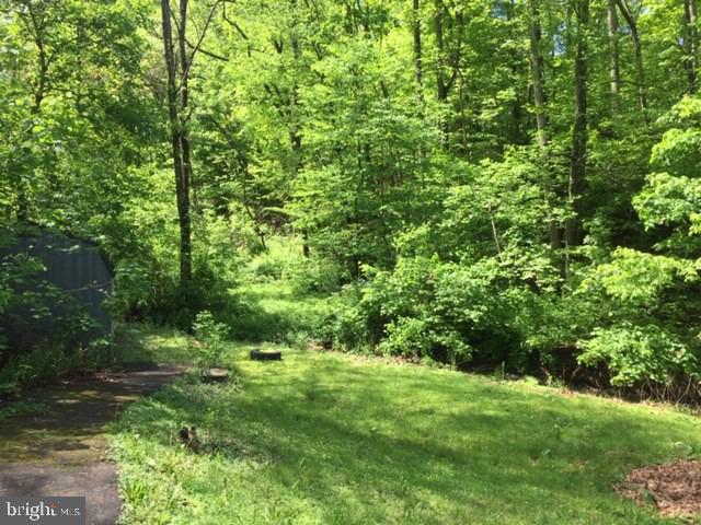 332 Sinking Spring Lane Gore, VA 22637 - Photo 36 of 37 Gallery Image 36