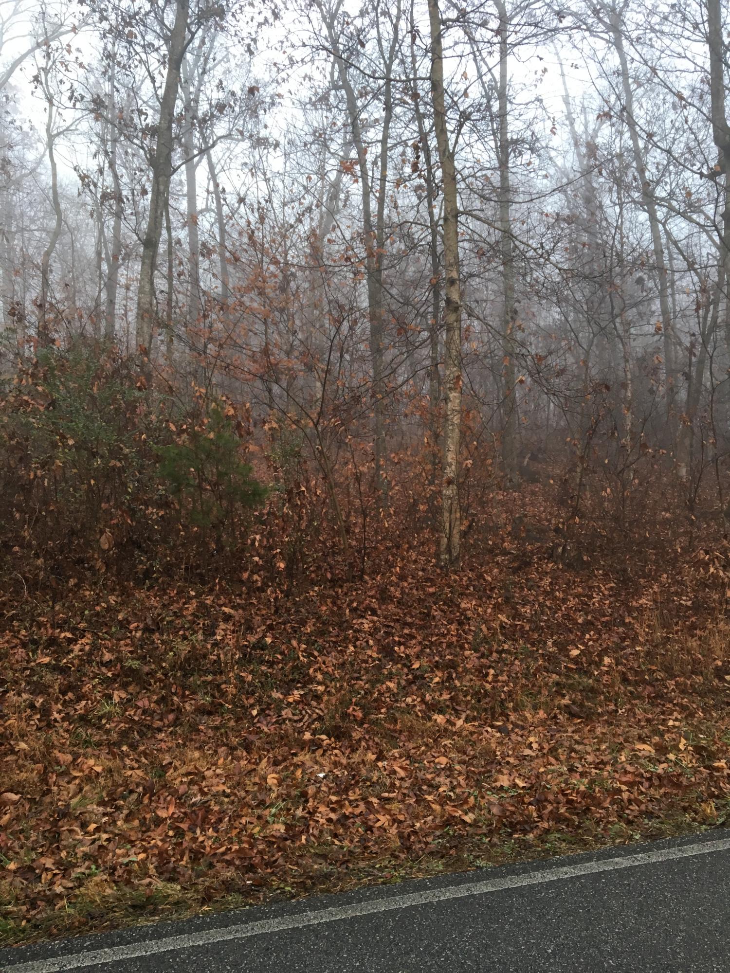 3116 Watkins Road East Loudon, TN 37774 - Photo 1 of 1 IMG_9441