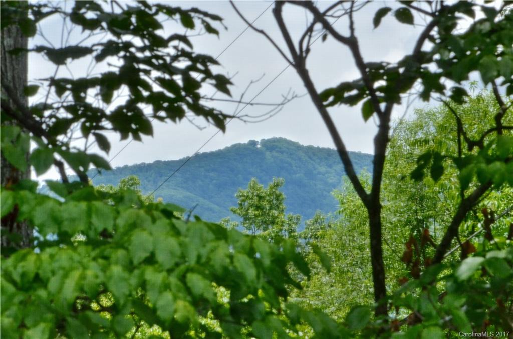 114 Wells Road Waynesville, NC 28785 - Photo 23 of 24