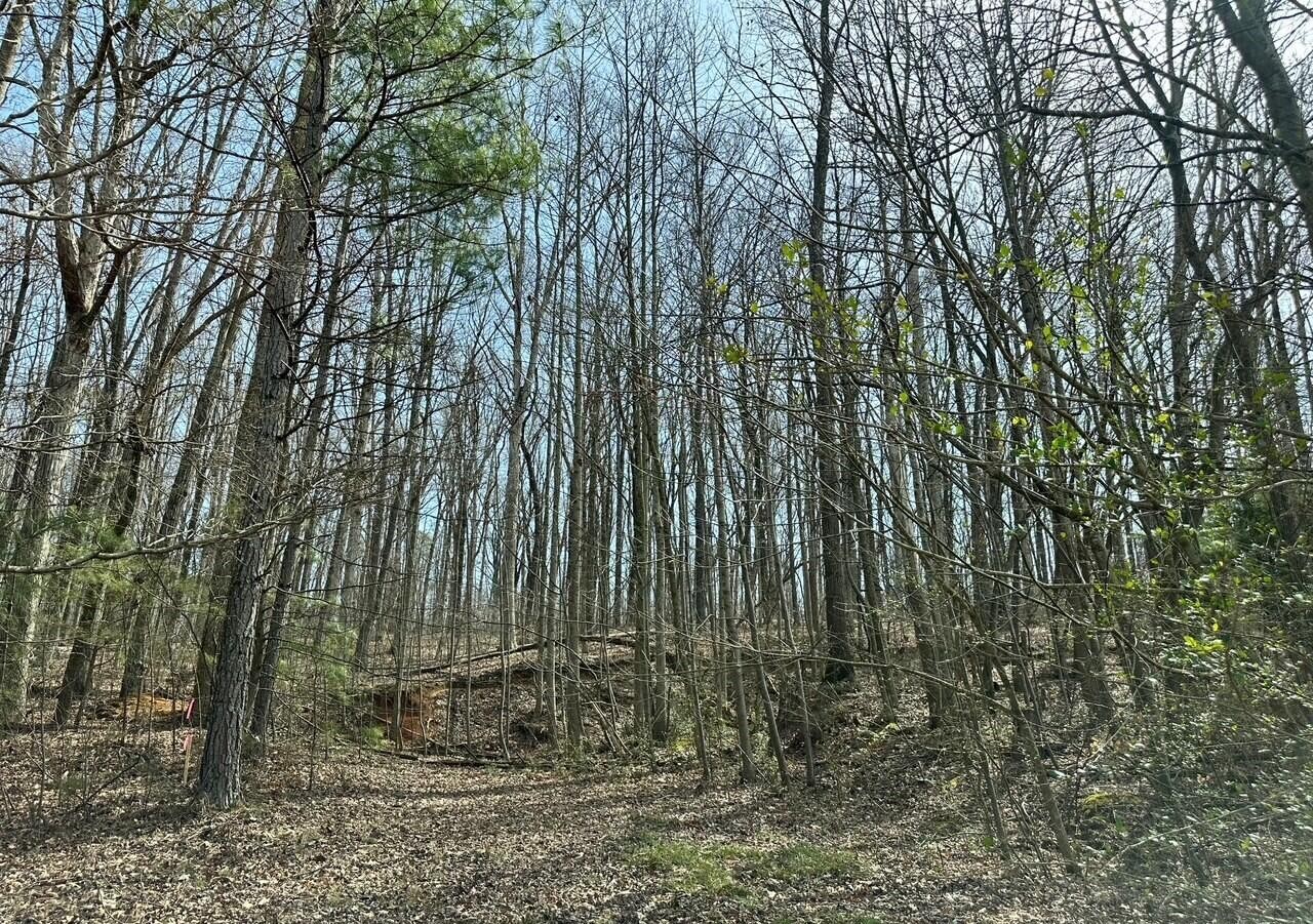 1654 New Hope Road Southeast Cleveland, TN 37323 - Photo 3 of 7