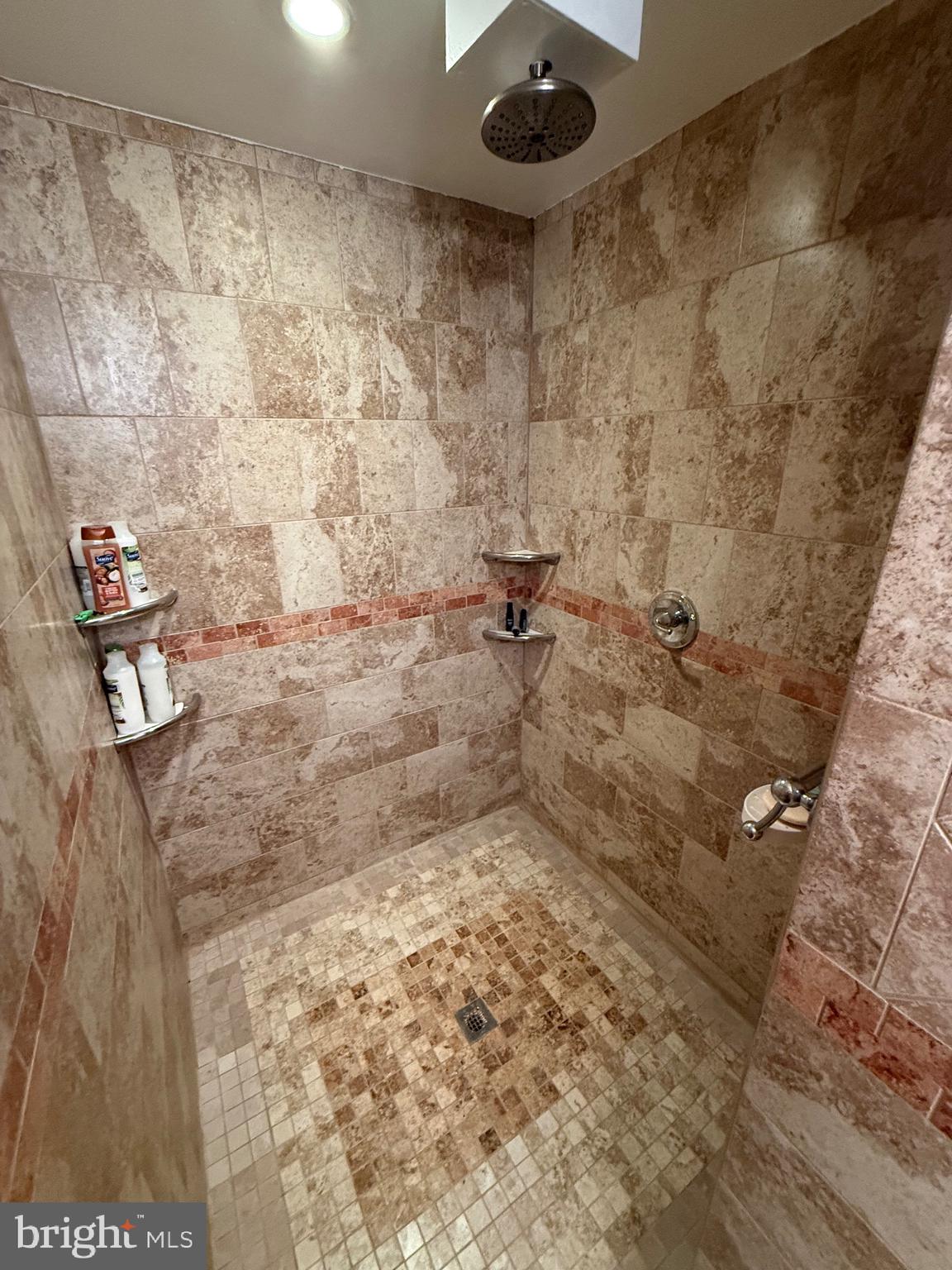 106 North Rock Ridge Lane Mount Storm, WV 26739 - Photo 21 of 78 a bathroom with a shower