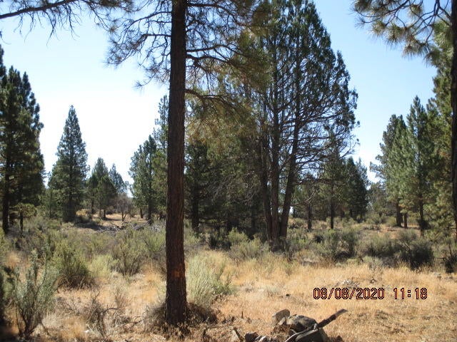 Lot 2200 Sycan Road Beatty, OR 97621 - Photo 4 of 9 IMG_6100