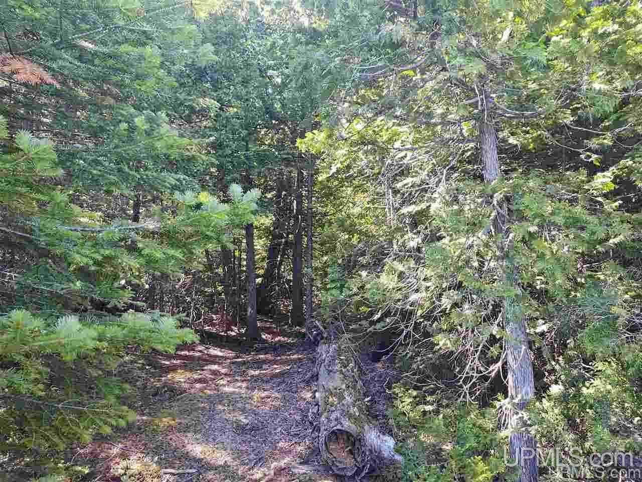 Lot 15 Lake Medora Road, Unit 15 Mohawk, MI 49950 - Photo 14 of 16