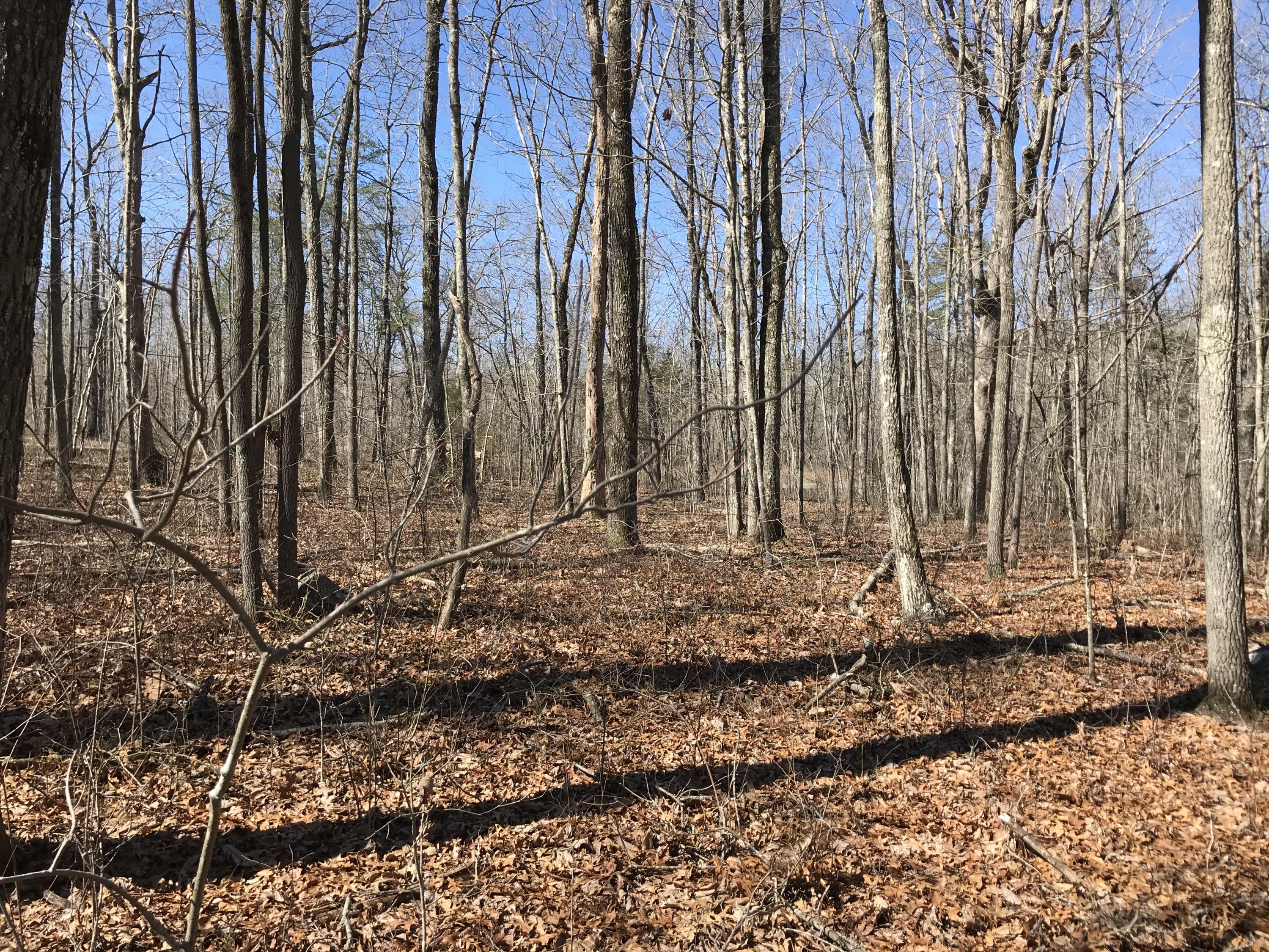 4 Deerhead Road, Unit 4 Dunlap, TN 37327 - Photo 3 of 11 03BB8439-E89E-42DD-B9BA-83D397485445