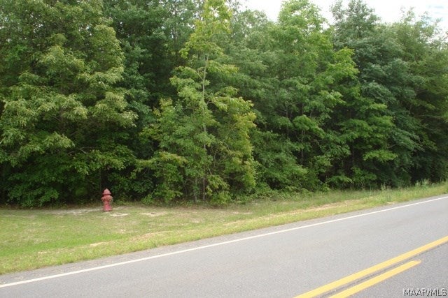 153 Rd Samson Al Elba, AL 36323 - Photo 1 of 4 Gallery Image 1