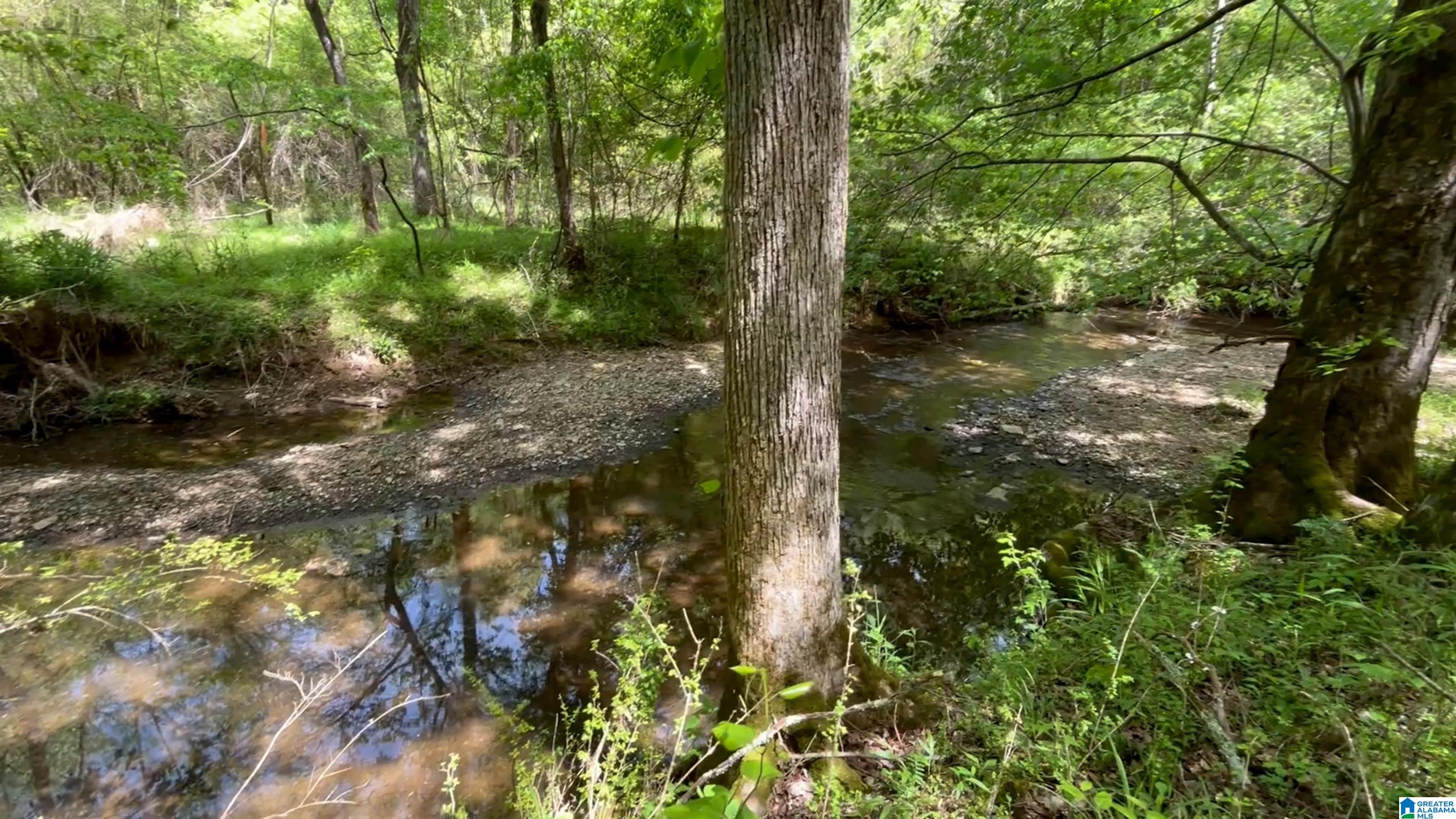 498 Blackwood Road, Unit 14 9 ACRES Parrish, AL 35580 - Photo 50 of 50