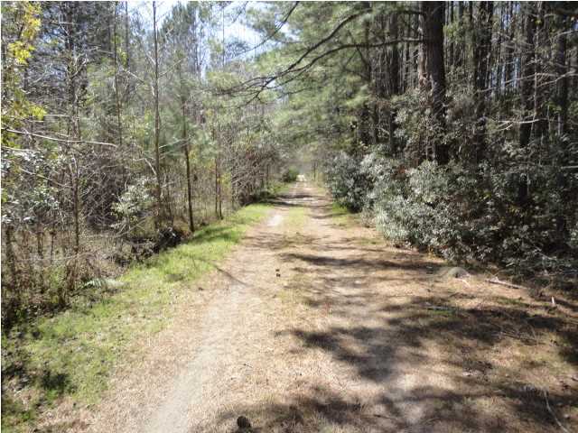 153 Hinson Camp Road Ridgeville, SC 29472 - Photo 2 of 13 Additional Photo