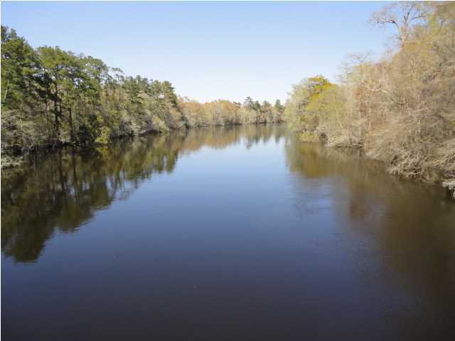 153 Hinson Camp Road Ridgeville, SC 29472 - Photo 12 of 13 Additional Photo
