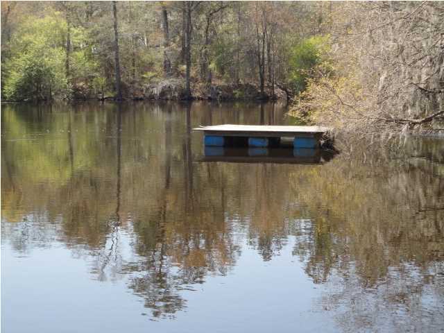153 Hinson Camp Road Ridgeville, SC 29472 - Photo 8 of 13 Additional Photo