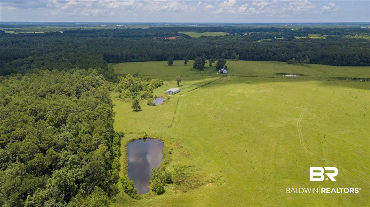 22290 Oak Tree Lane Robertsdale, AL 36567 - Photo 9 of 37