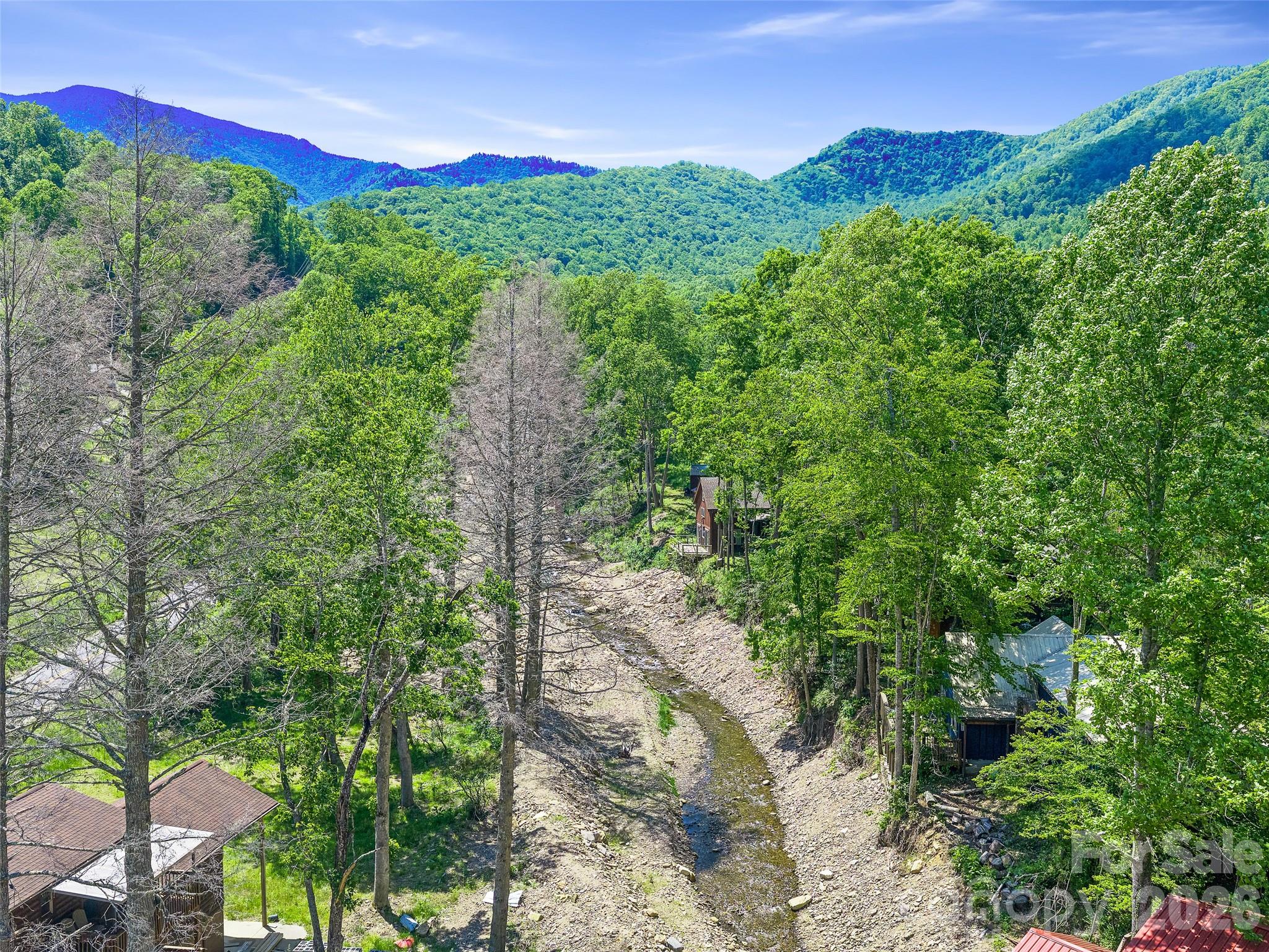137 Mountain Farm Road Burnsville, NC 28714 - Photo 2 of 30