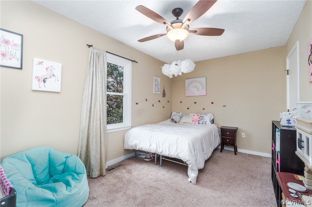 4016 Peregrine Road North Chesterfield, VA 23237 - Photo 17 of 28 Gallery Image 17