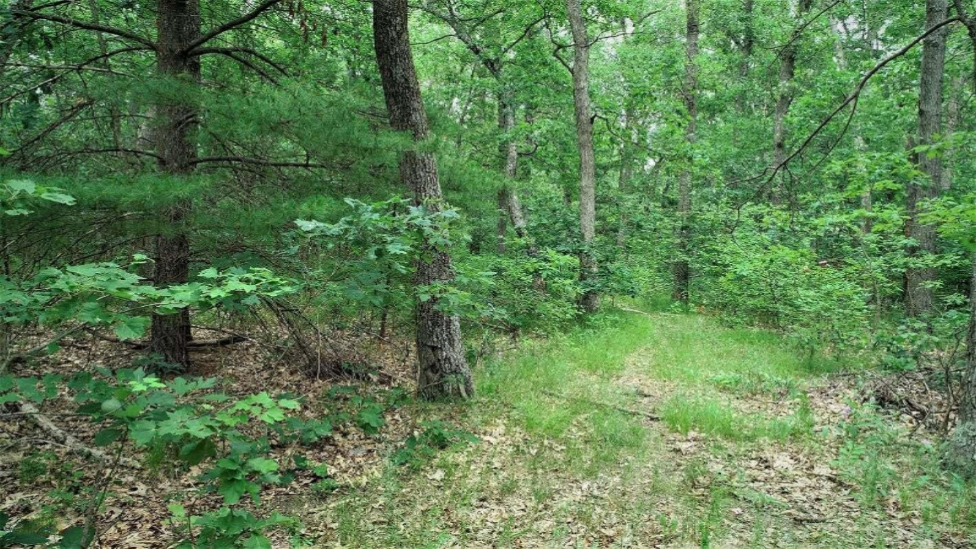 0 North Sheridan Road Muskegon, MI 49445 - Photo 8 of 14 DJI_0032 (2)
