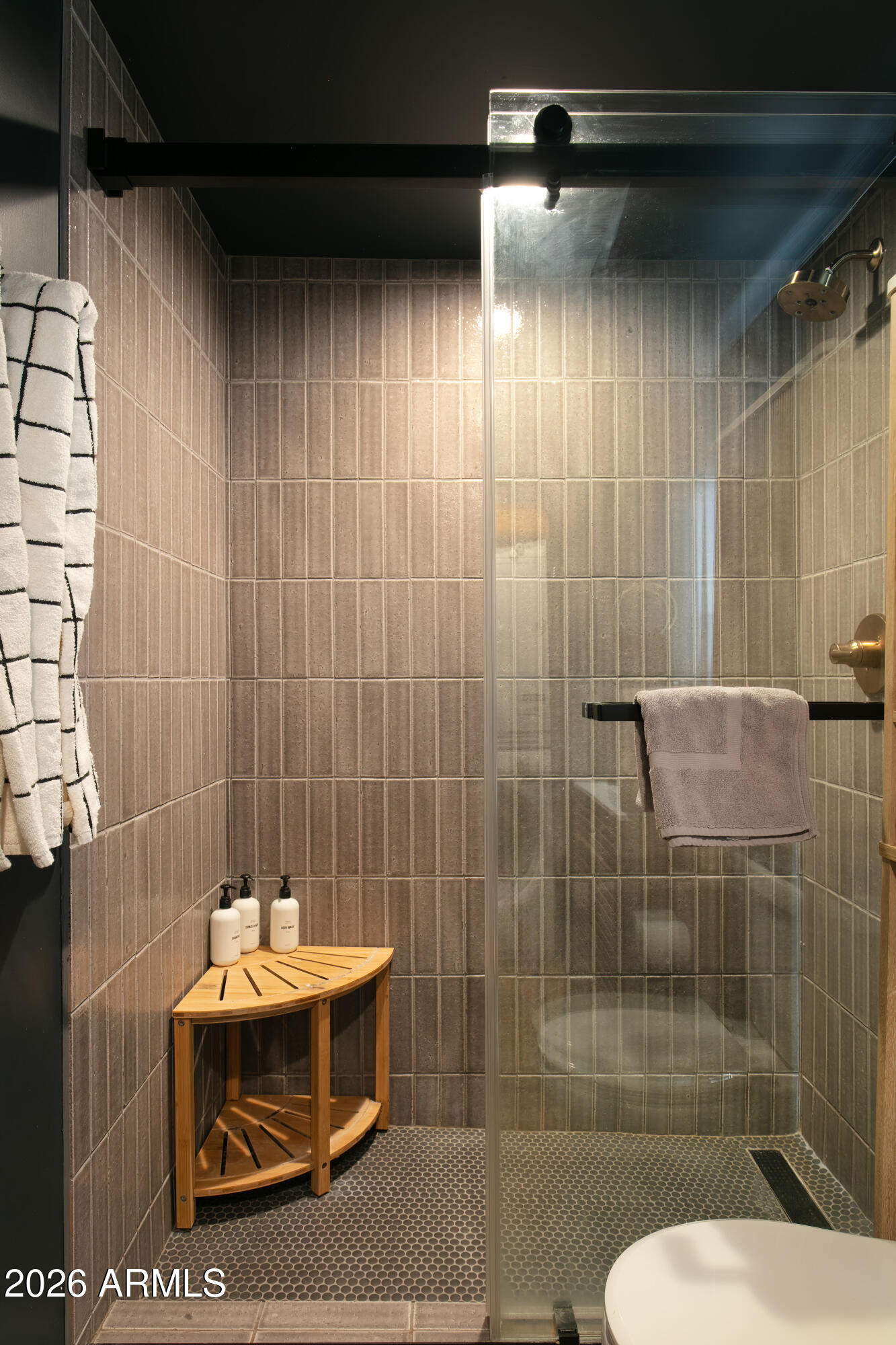 2549 North Mitchell Street Phoenix, AZ 85006 - Photo 38 of 41 a bathroom with a sink and a shower