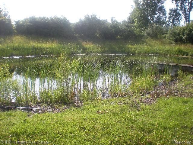 5102 Stoner Road Fowlerville, MI 48836 - Photo 3 of 3 5102 stoner pond