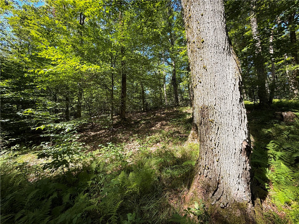 6989 Ross Road Canadice, NY 14560 - Photo 21 of 50 Gallery Image 21