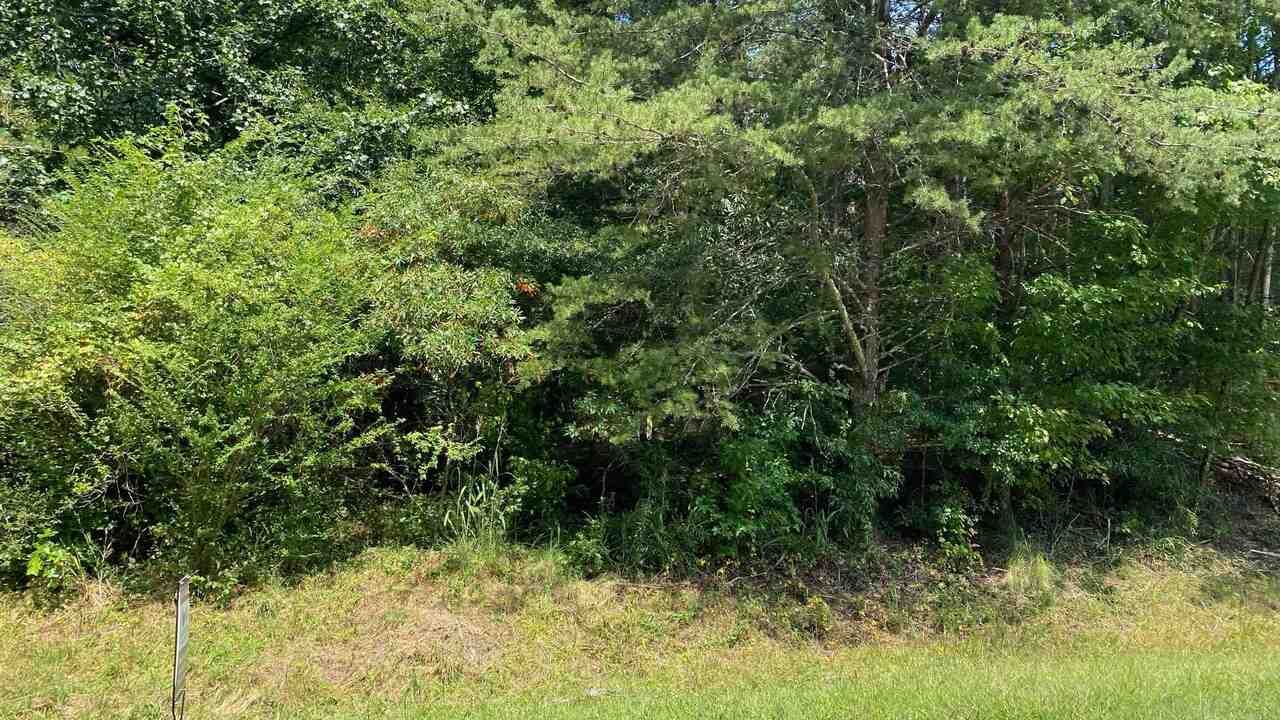 0 Tesnatee Gap Valley Road, Unit 3 Cleveland, GA 30528 - Photo 1 of 1 Gallery Image 1