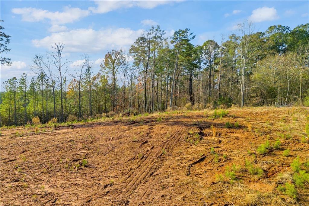 200 Line Street Buford, GA 30518 - Photo 23 of 25 a view of outdoor space with trees
