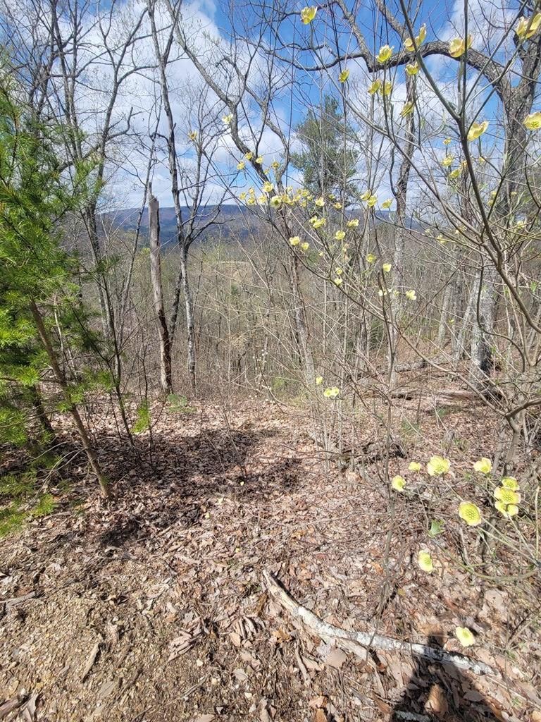 0 Coopers Hawk Way Sevierville, TN 37862 - Photo 7 of 11