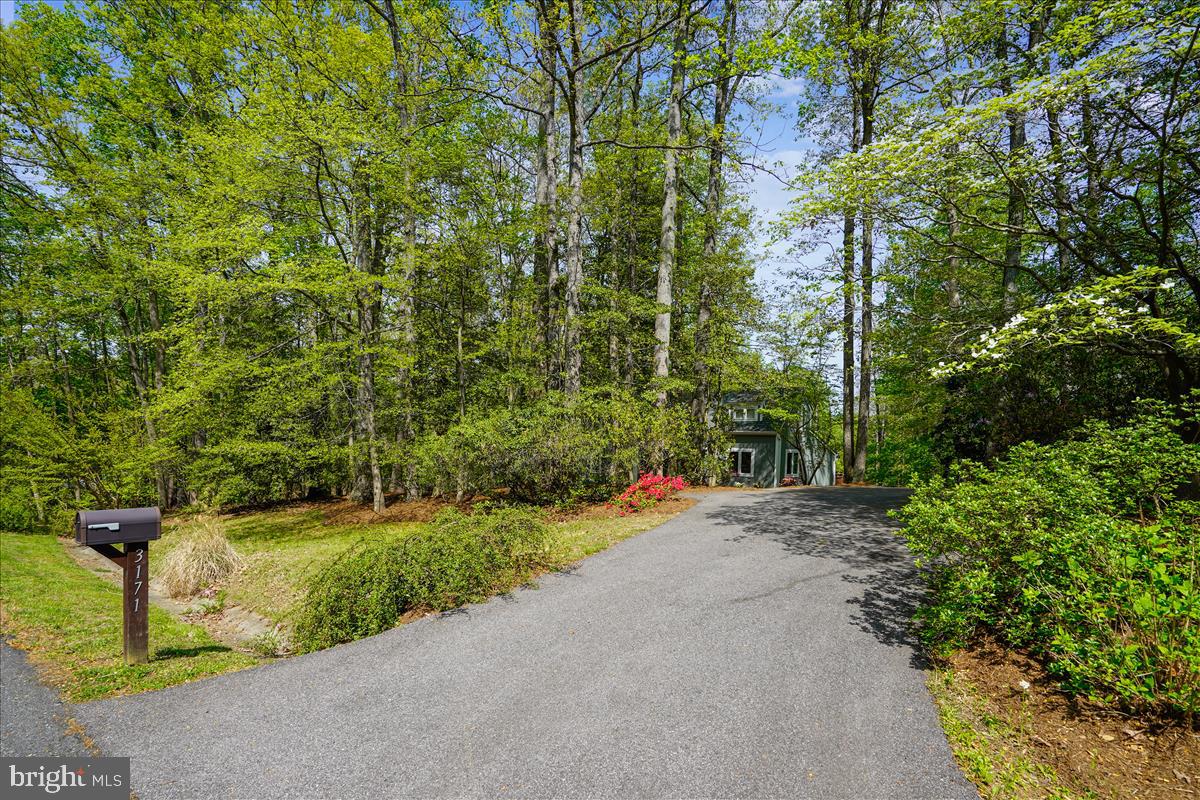 3171 Rolling Road Edgewater, MD 21037 - Photo 73 of 83 Gallery Image 73