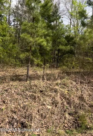 $140,000 | Lot 6 Matthews Drive, Byhalia, MS 38611
