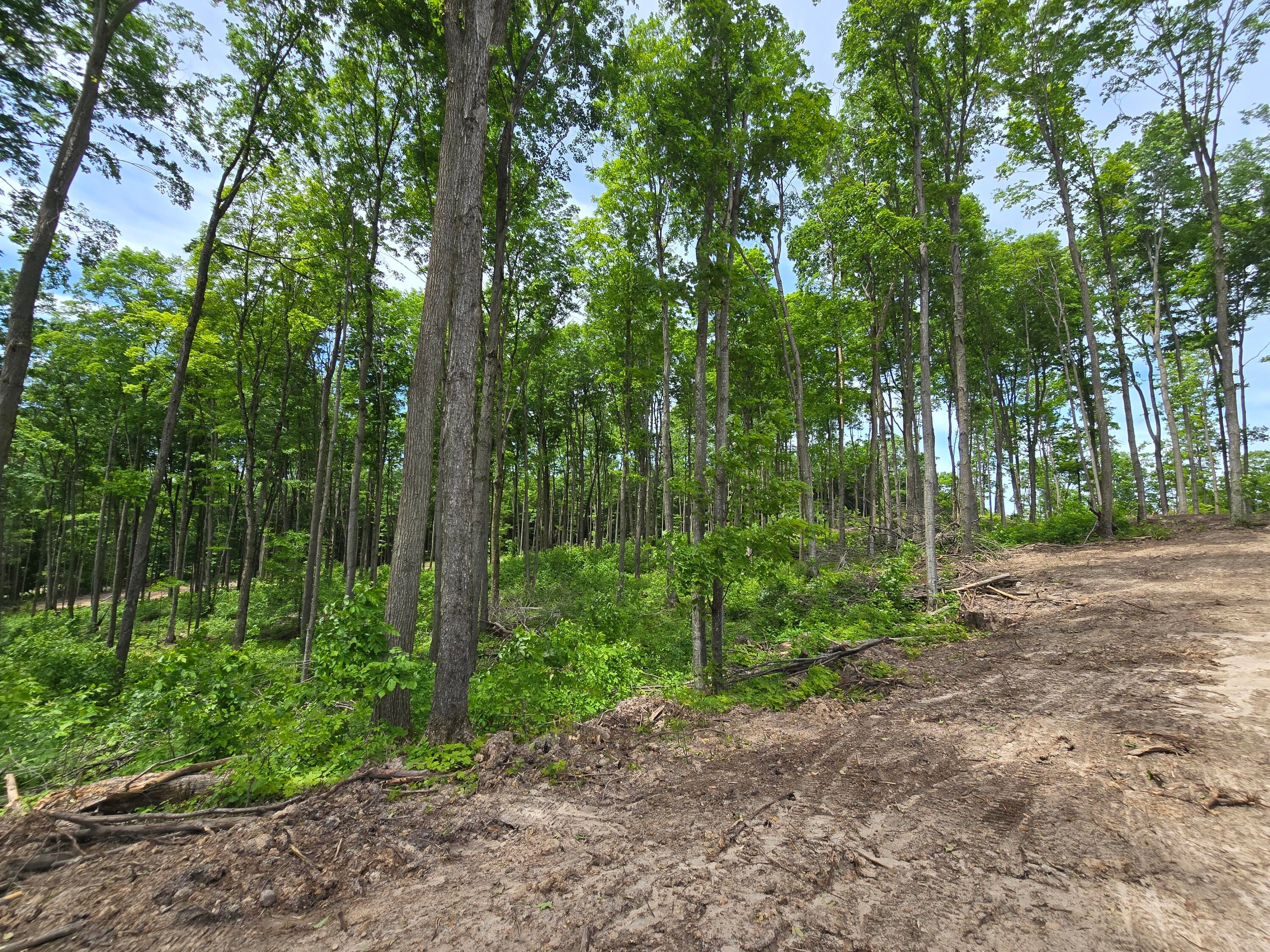 East Old State Road East Jordan, MI 49727 - Photo 26 of 57
