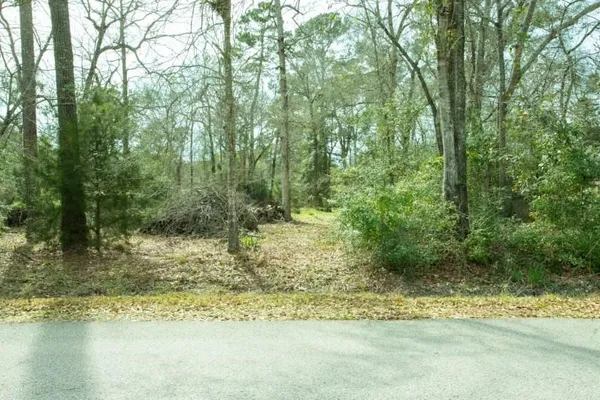 a view of a yard with large trees