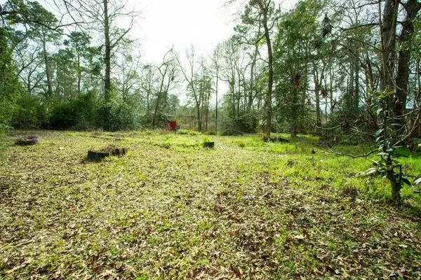 a view of a green field with trees
