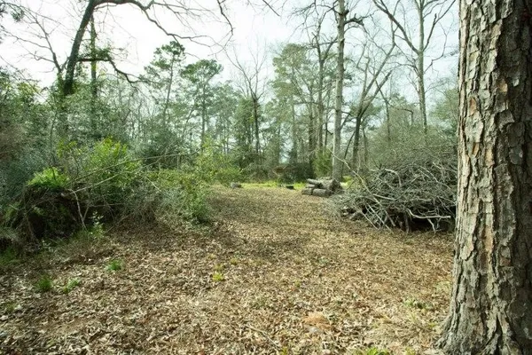 a view of outdoor space and trees