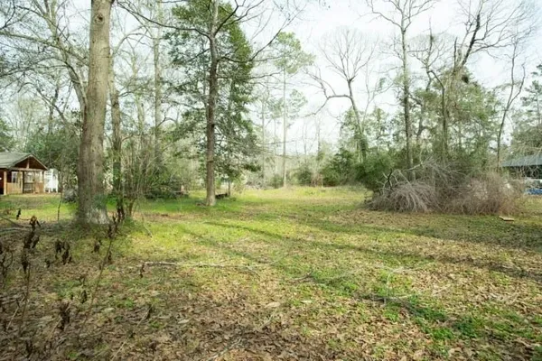 a yard with trees in the background