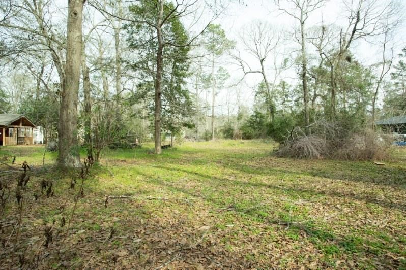 15050 Cardinal Trail Conroe, TX 77302 - Photo 6 of 6 a yard with trees in the background
