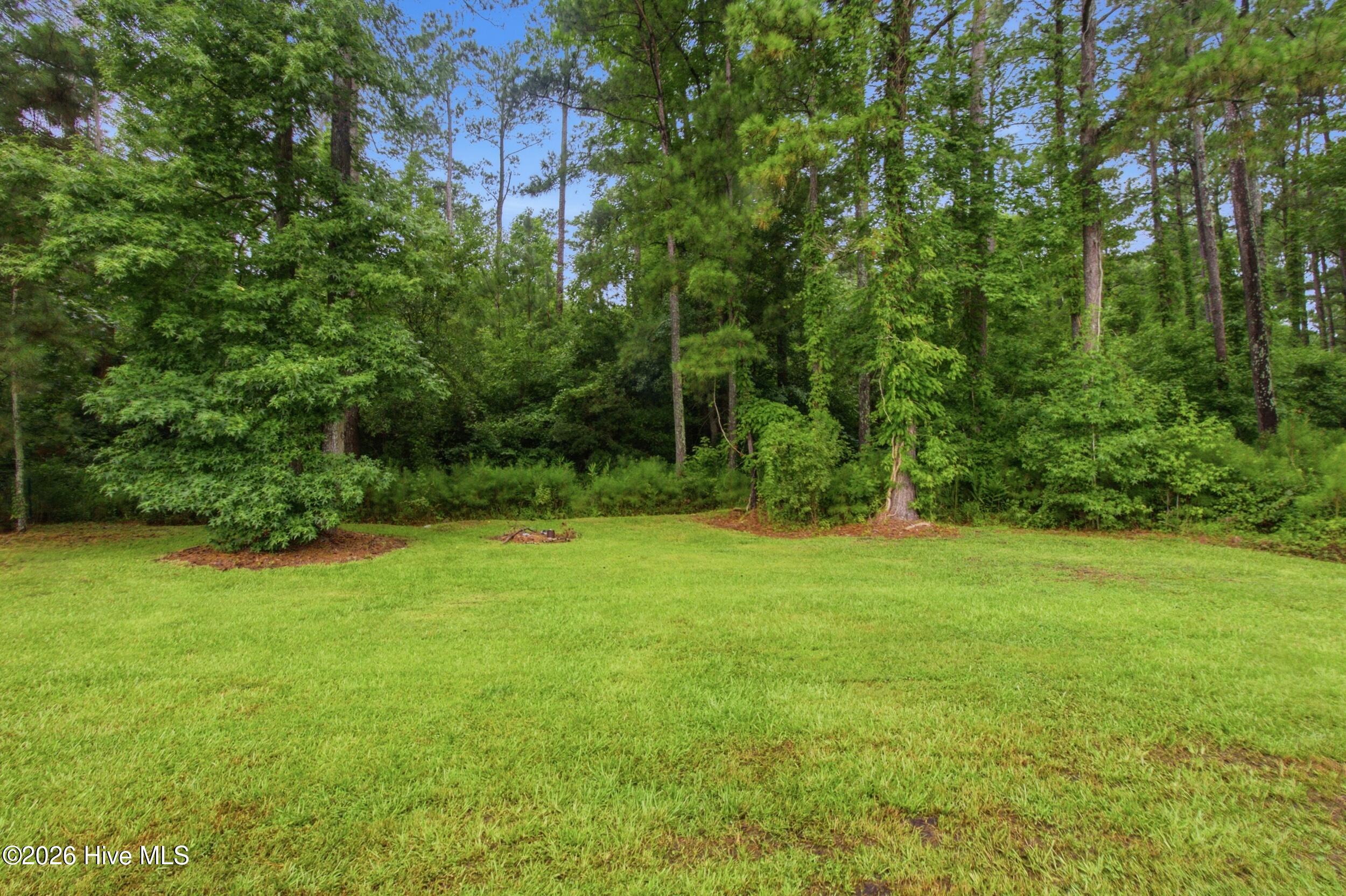 5709 County Line Road New Bern, NC 28562 - Photo 28 of 39 Back