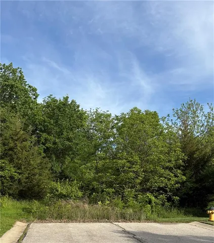 $600,000 | South College Boulevard, Olathe, KS 66061