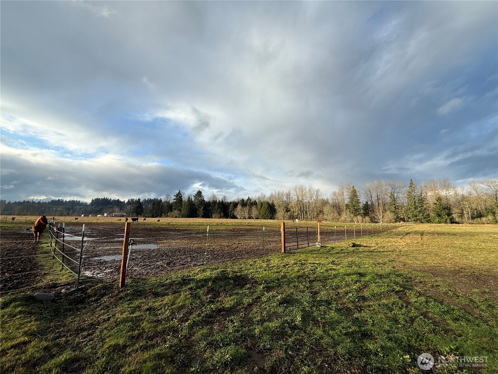 237 Collins Road Toledo, WA 98591 - Photo 28 of 29 Gallery Image 28