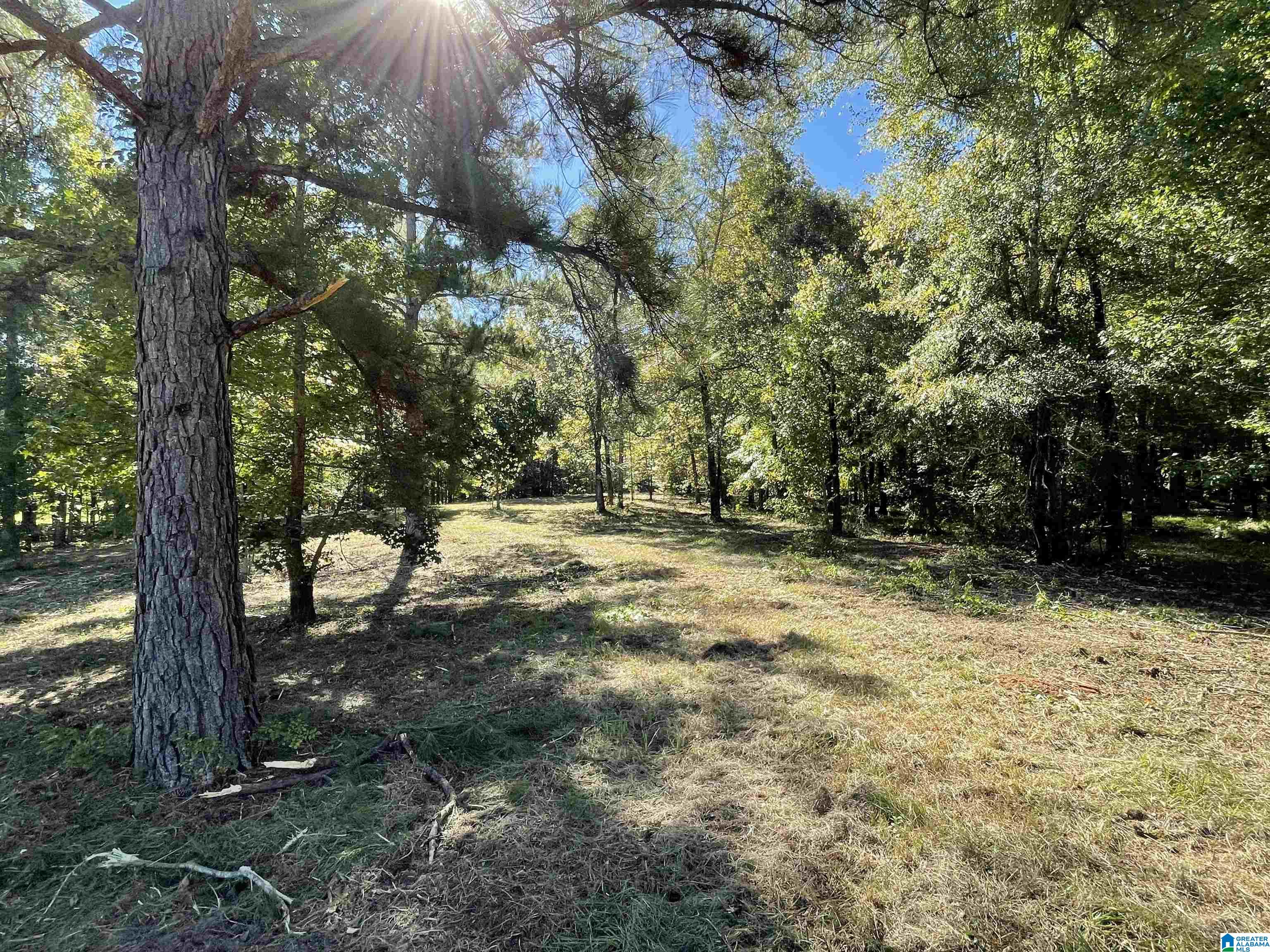 0 Paradise Point Drive Columbiana, AL 35051 - Photo 8 of 23