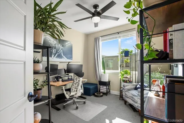 a work room with furniture and a potted plant
