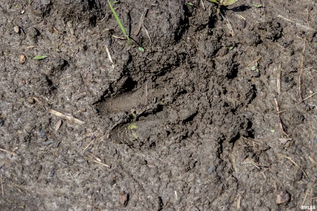 $297,000 | 0 Carman Street, Lomax, IL 61454